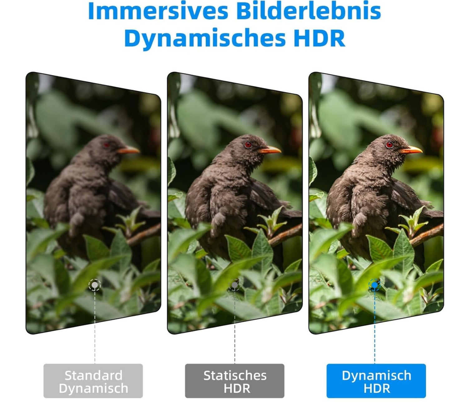 8K HDMI 2.1 Glasfaserkabel 3M 48Gbps 4K@120Hz eARC HDR