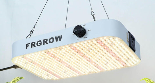LED Grow Light, 31x21CM 65Watt LED Vollspektrum Grow Lampe Dimmbarer
