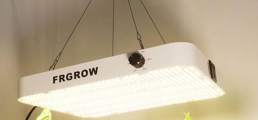 LED Grow Lampe 260 Watt 30L x 4,5B x 40H cm 260 Watt Vollspektrum Wachstumslampe