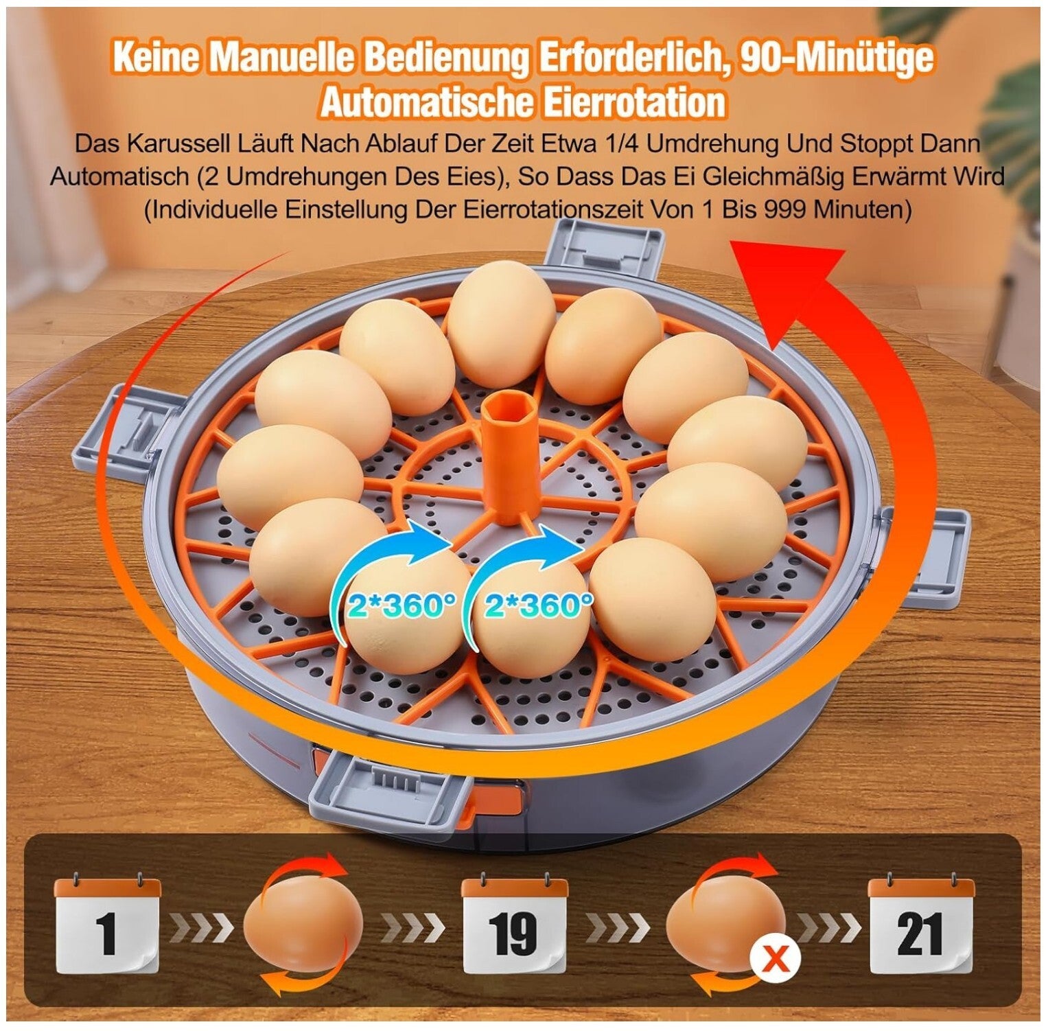 Brutautomat 12 Eier Vollautomatisch Temperatur Feuchtigkeitskontrolle