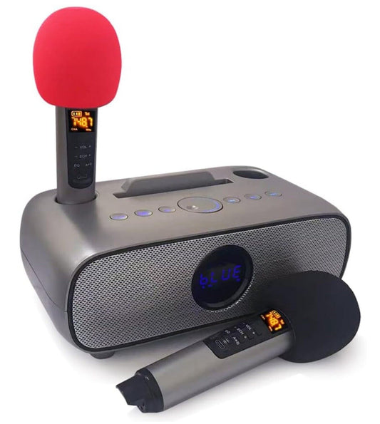 Karaoke Maschine 2 Mikrofone Bluetooth Tragbar