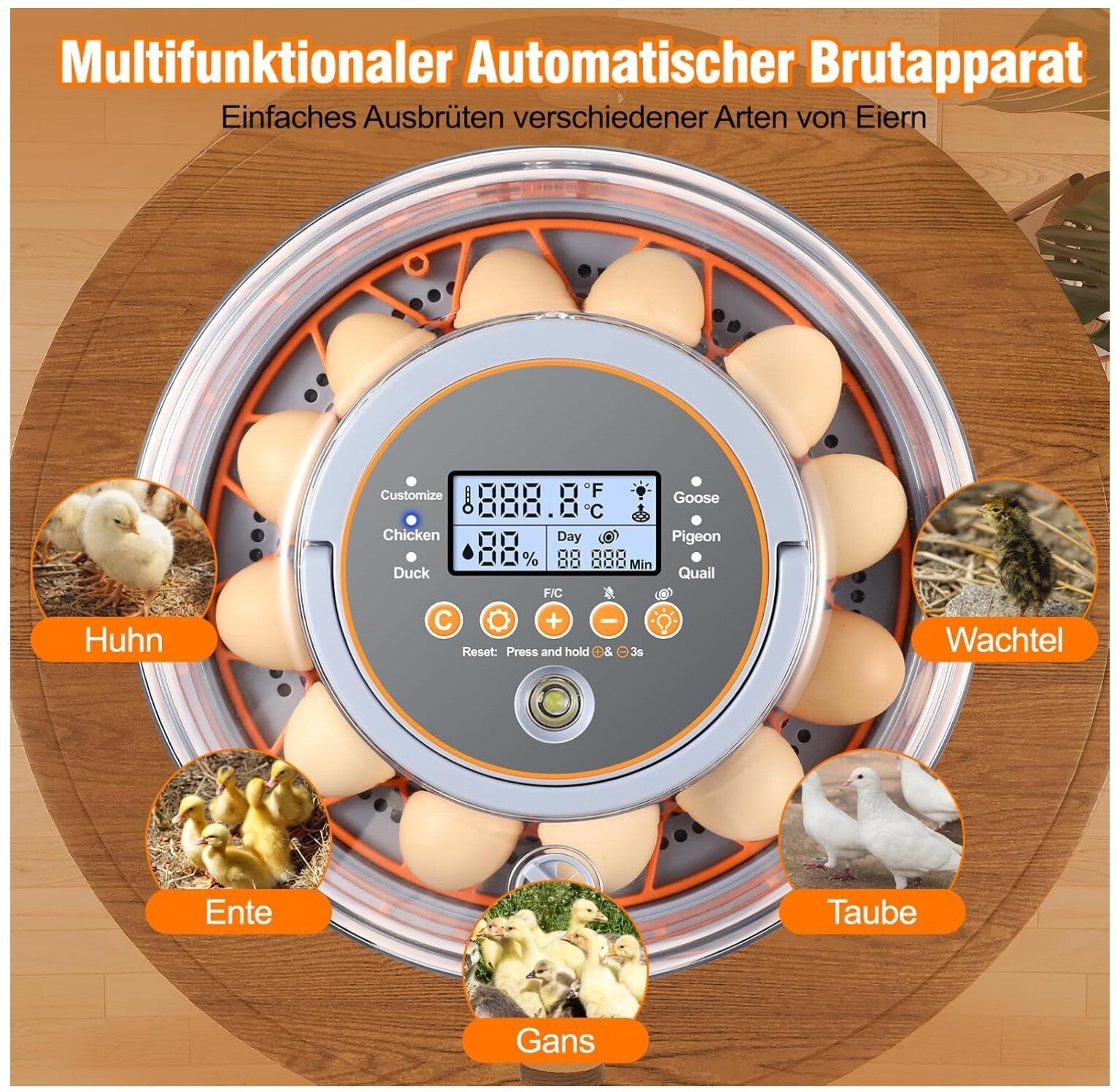 Brutautomat 12 Eier Vollautomatisch Temperatur Feuchtigkeitskontrolle