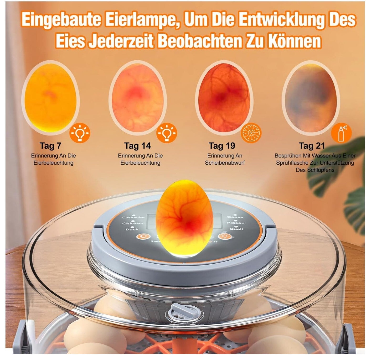 Brutautomat 12 Eier Vollautomatisch Temperatur Feuchtigkeitskontrolle