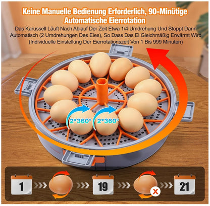 Brutautomat 12 Eier Vollautomatisch Temperatur Feuchtigkeitskontrolle