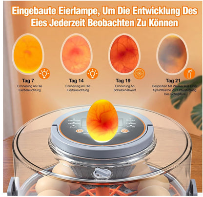 Brutautomat 12 Eier Vollautomatisch Temperatur Feuchtigkeitskontrolle